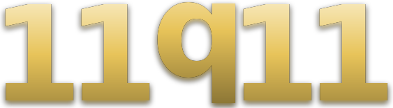 11q11 logo